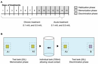 It’s Tea Time: Interference of Ayahuasca Brew on Discriminative Learning in Zebrafish